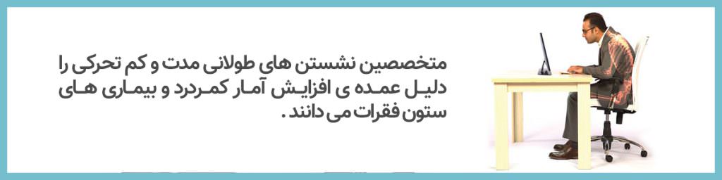 ستون فقرات