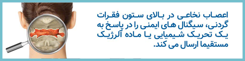 نگهدارنده ارگونومیک مانیتور ماتریکس