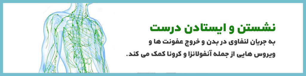 نگهدارنده ارگونومیک مانیتور ماتریکس باراد - نشستن و ایستادن صحیح